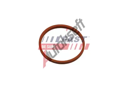 FAST T�snic� krou�ek hadice plnic�ho vzduchu FST FT48932, FT48932