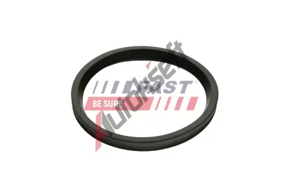 FAST Těsnicí kroužek hadice plnicího vzduchu FST FT48947, FT48947 FAST Těsnicí kroužek hadice plnicího vzduchu FST FT48947, FT48947