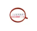 T�snic� krou�ek hadice plnic�ho vzduchu&nbsp;FAST&nbsp;&dash;&nbsp;FST FT48963