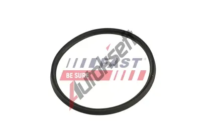 FAST Tsnic krouek hadice plnicho vzduchu FST FT48965, FT48965