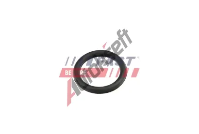 FAST Těsnění kolena sacího potrubí FST FT49420, FT49420 FAST Těsnění kolena sacího potrubí FST FT49420, FT49420