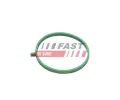 FAST Těsnění kolena sacího potrubí FST FT49472, FT49472