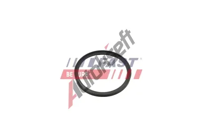 FAST Těsnicí kroužek hadice plnicího vzduchu FST FT49857, FT49857 FAST Těsnicí kroužek hadice plnicího vzduchu FST FT49857, FT49857