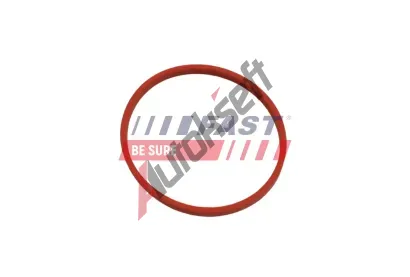 FAST T�sn�n� veden� AGR ventilu FST FT49868, FT49868