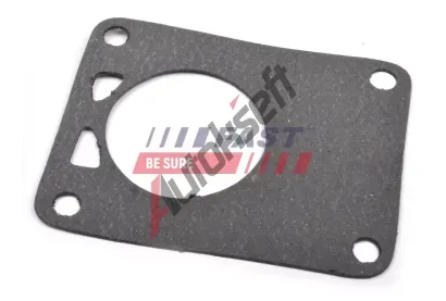 FAST Těsnění vakuového čerpadla FST FT49901, FT49901 FAST Těsnění vakuového čerpadla FST FT49901, FT49901