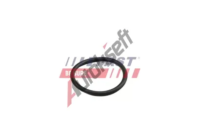 FAST Těsnění potrubí chladicí kapaliny FST FT49919, FT49919 FAST Těsnění potrubí chladicí kapaliny FST FT49919, FT49919