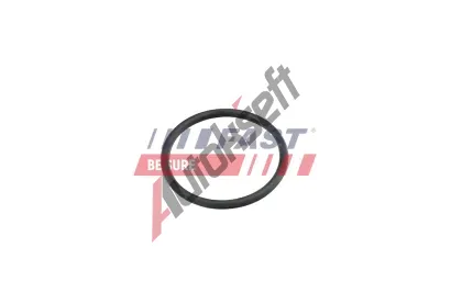 FAST Těsnění potrubí chladiva FST FT49920, FT49920 FAST Těsnění potrubí chladiva FST FT49920, FT49920