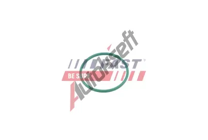 FAST Těsnicí kroužek hadice plnicího vzduchu FST FT49921, FT49921 FAST Těsnicí kroužek hadice plnicího vzduchu FST FT49921, FT49921