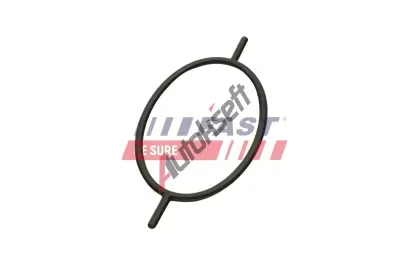 FAST Těsnicí kroužek šroubu chladiče FST FT49923, FT49923 FAST Těsnicí kroužek šroubu chladiče FST FT49923, FT49923