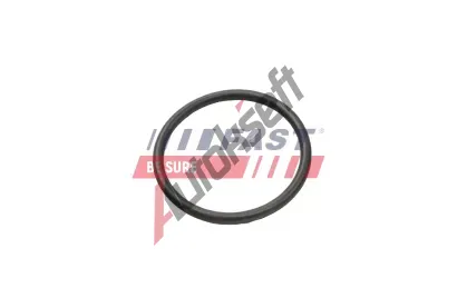 FAST Těsnicí kroužek hadice plnicího vzduchu FST FT49935, FT49935 FAST Těsnicí kroužek hadice plnicího vzduchu FST FT49935, FT49935