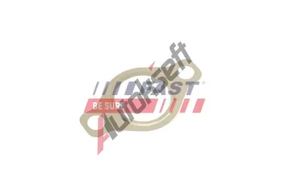 FAST Tsnn AGR ventilu FST FT50618, FT50618