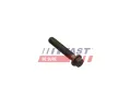 Ojni�n� �roub&nbsp;FAST&nbsp;&dash;&nbsp;FST FT51653