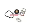 Termostat chladiva&nbsp;FAST&nbsp;&dash;&nbsp;FST FT58042