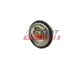 FAST Termostat chladiva FST FT58200, FT58200