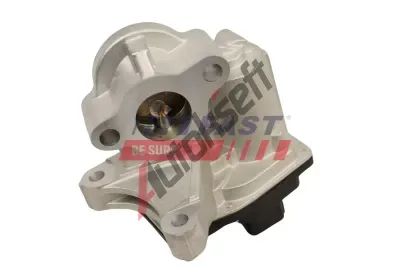 FAST AGR ventil FST FT60244, FT60244