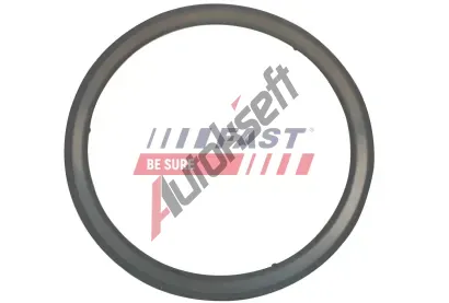 FAST Těsnění výfukové trubky FST FT84595, FT84595 FAST Těsnění výfukové trubky FST FT84595, FT84595