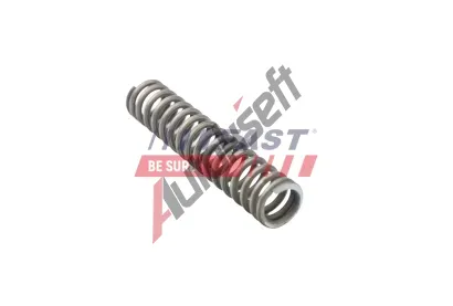 FAST Pružina spojkového pedálu FST FT96504, FT96504 FAST Pružina spojkového pedálu FST FT96504, FT96504