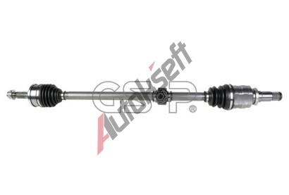 GSP Hnac hdel GSP 202529, 202529