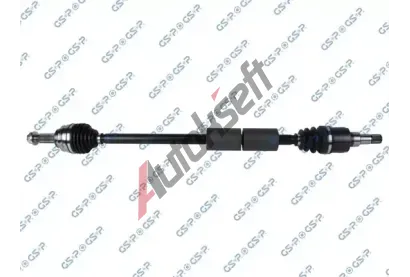 GSP Hnac hdel GSP 202978, 202978