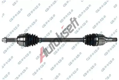 GSP Hnac hdel GSP 203117, 203117