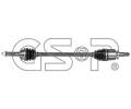 Hnac hdel GSP ‐ GSP 203893