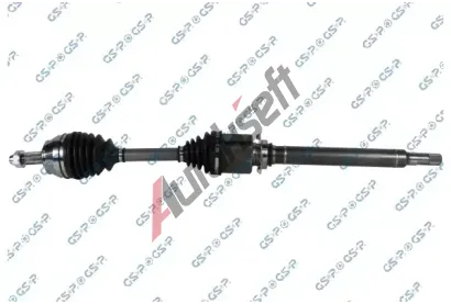 GSP Hnac hdel GSP 203975, 203975