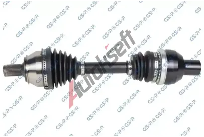 GSP Hnac hdel GSP 203979, 203979