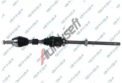 GSP Hnac hdel GSP 204191, 204191