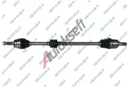 GSP Hnac hdel GSP 204371, 204371