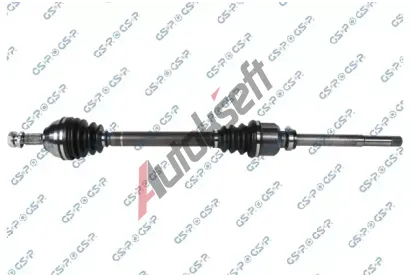 GSP Hnac hdel GSP 204394, 204394