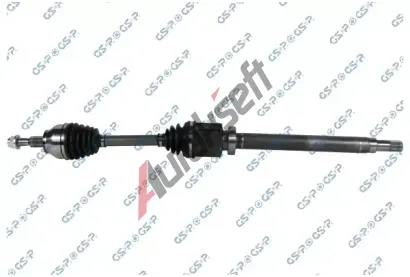 GSP Hnac hdel GSP 204621, 204621