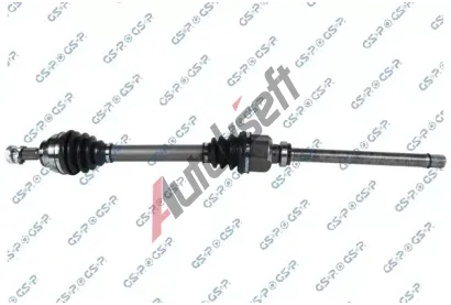 GSP Hnac hdel GSP 204640, 204640