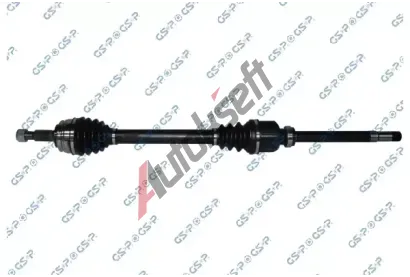 GSP Hnac hdel GSP 210399, 210399