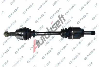 GSP Hnac hdel GSP 217135, 217135