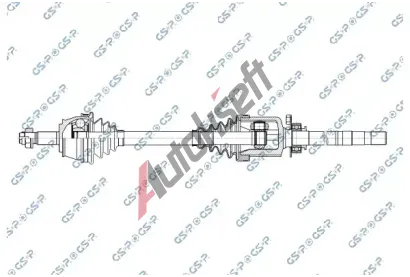 GSP Hnac hdel GSP 217210, 217210