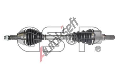 GSP Hnac hdel GSP 217221, 217221