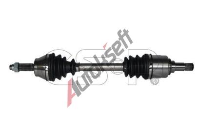 GSP Hnac hdel GSP 218118, 218118