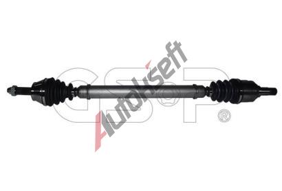 GSP Hnac hdel GSP 218289, 218289