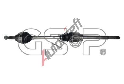 GSP Hnac hdel GSP 218445, 218445