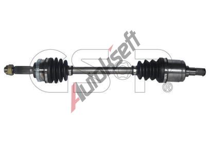 GSP Hnac hdel GSP 224034, 224034