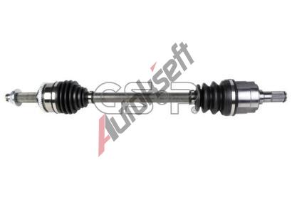 GSP Hnac hdel GSP 224529, 224529