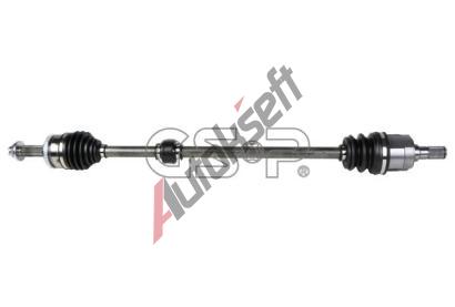 GSP Hnac hdel GSP 224542, 224542