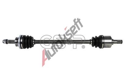 GSP Hnac hdel GSP 224556, 224556