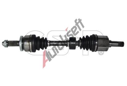 GSP Hnac hdel GSP 234210, 234210