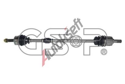 GSP Hnac hdel GSP 239178, 239178