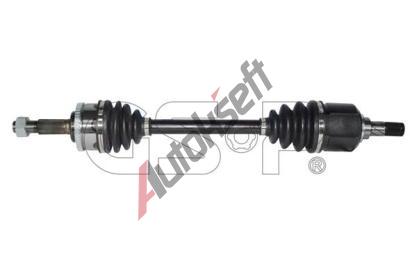 GSP Hnac hdel GSP 241195, 241195