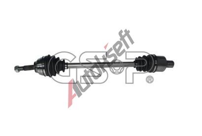 GSP Hnac hdel GSP 250063, 250063