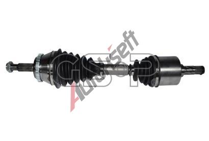 GSP Hnac� h��del GSP 250100, 250100