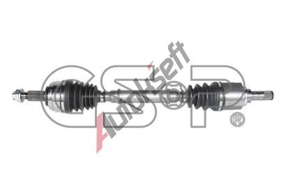 GSP Hnac hdel GSP 250378, 250378