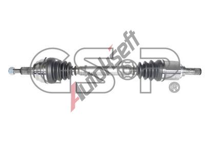 GSP Hnac hdel GSP 250451, 250451